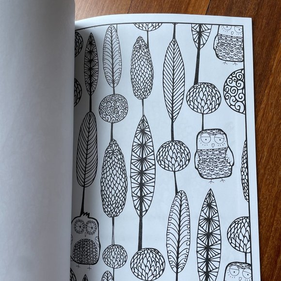 NEW Everyone Loves Coloring Birds Adult Coloring Book by Bendon Publishing - Picture 9 of 10